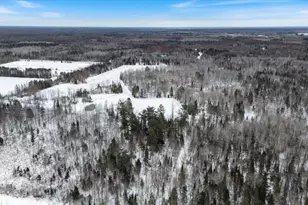 12502 Van Horn Rd, Floodwood, MN 55736 - Photo 39