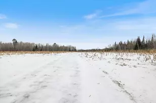 12502 Van Horn Rd, Floodwood, MN 55736 - Photo 95