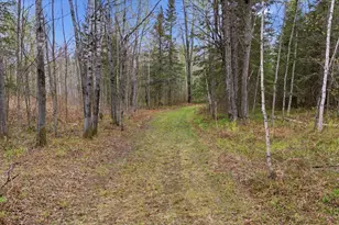 12502 Van Horn Rd, Floodwood, MN 55736 - Photo 51