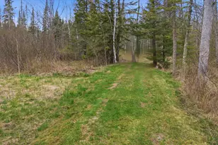 12502 Van Horn Rd, Floodwood, MN 55736 - Photo 73