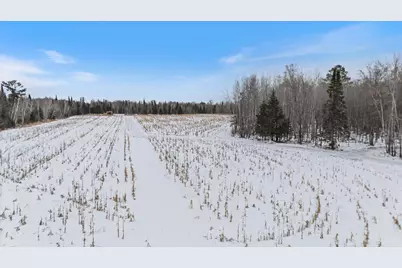 12502 Van Horn Road, Floodwood, MN 55736 - Photo 43