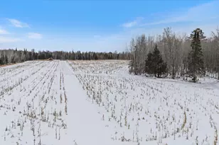 12502 Van Horn Rd, Floodwood, MN 55736 - Photo 43