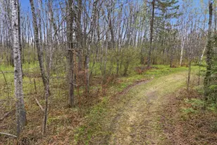 12502 Van Horn Rd, Floodwood, MN 55736 - Photo 69