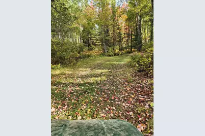 12502 Van Horn Road, Floodwood, MN 55736 - Photo 59