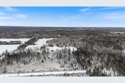 12502 Van Horn Road, Floodwood, MN 55736 - Photo 39