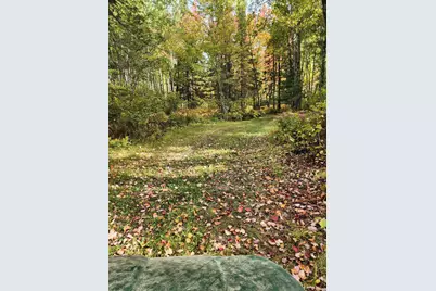 12502 Van Horn Road, Floodwood, MN 55736 - Photo 59