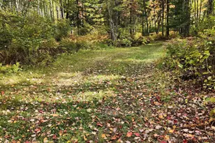 12502 Van Horn Rd, Floodwood, MN 55736 - Photo 59