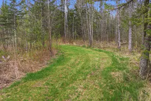 12502 Van Horn Rd, Floodwood, MN 55736 - Photo 57