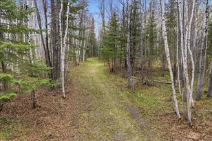 12502 Van Horn Rd, Floodwood, MN 55736 - Photo 53