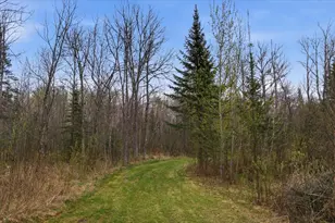 12502 Van Horn Rd, Floodwood, MN 55736 - Photo 55