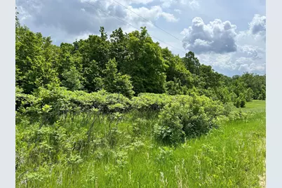 Tbd 355th Street, Richville, MN 56576 - Photo 15