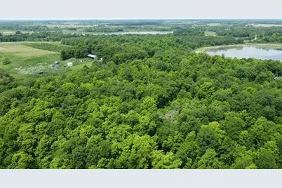 Tbd 355th Street, Richville, MN 56576 - Photo 7