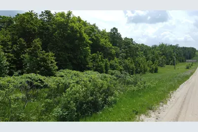 Tbd 355th Street, Richville, MN 56576 - Photo 13