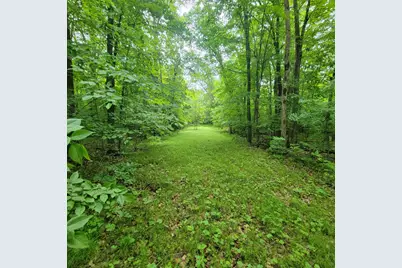 Tbd 355th Street, Richville, MN 56576 - Photo 3