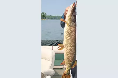 10608 Grunwald Avenue NW, Maple Lake, MN 55358 - Photo 83