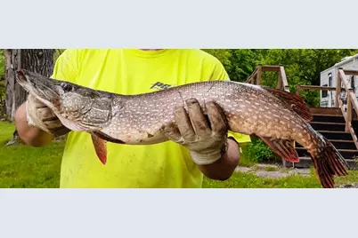 10608 Grunwald Avenue NW, Maple Lake, MN 55358 - Photo 85