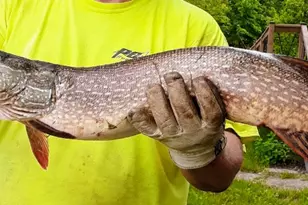 10608 Grunwald Ave NW, Maple Lake, MN 55358 - Photo 85