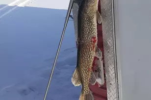 10608 Grunwald Ave NW, Maple Lake, MN 55358 - Photo 81