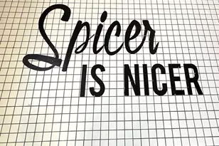 1301 Lk Ave N, Spicer, MN 56288 - Photo 3