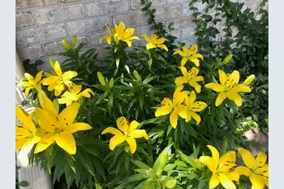 N1631 830th Street, Hager City, WI 54014 - Photo 37