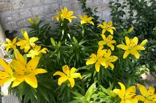 N1631 830th St, Hager City, WI 54014 - Photo 37