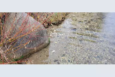 Tbd Reno View Drive SW, Alexandria, MN 56308 - Photo 9