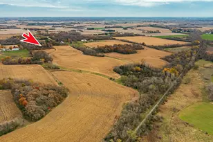 8601 County Rd 3 NW, Oronoco, MN 55960 - Photo 49
