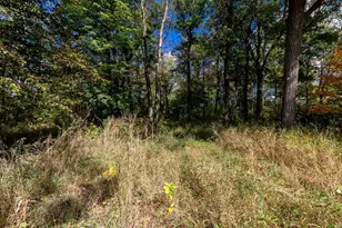 40201 231st Ave, Browerville, MN 56438 - Photo 29