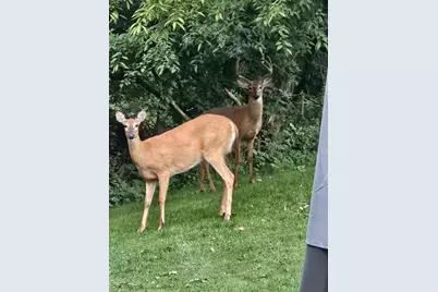 809 60th Avenue SW, Rochester, MN 55902 - Photo 5