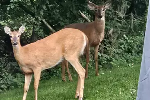 809 60th Ave SW, Rochester, MN 55902 - Photo 5