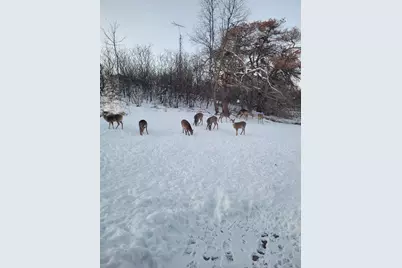 809 60th Avenue SW, Rochester, MN 55902 - Photo 57