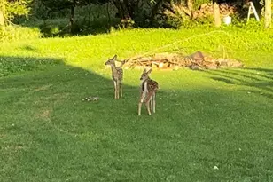 809 60th Ave SW, Rochester, MN 55902 - Photo 13