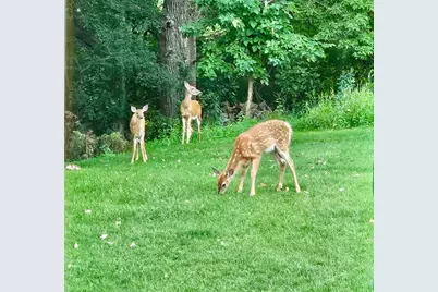 809 60th Avenue SW, Rochester, MN 55902 - Photo 31