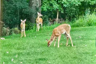 809 60th Ave SW, Rochester, MN 55902 - Photo 31