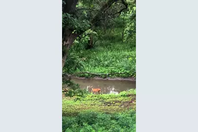 809 60th Avenue SW, Rochester, MN 55902 - Photo 35