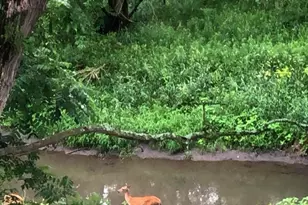 809 60th Ave SW, Rochester, MN 55902 - Photo 35