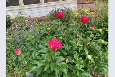 895 Lakeview Avenue, Saint Paul, MN 55117 - Photo 39