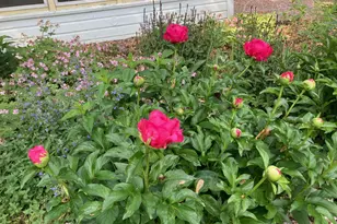 895 Lakeview Ave, Saint Paul, MN 55117 - Photo 39