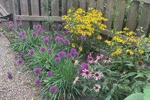 895 Lakeview Ave, Saint Paul, MN 55117 - Photo 35