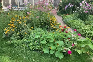 895 Lakeview Ave, Saint Paul, MN 55117 - Photo 31