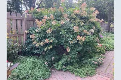 895 Lakeview Avenue, Saint Paul, MN 55117 - Photo 33