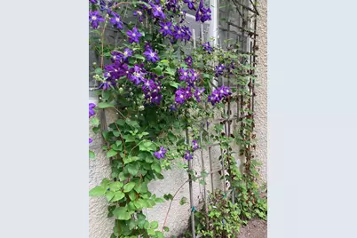 895 Lakeview Avenue, Saint Paul, MN 55117 - Photo 37