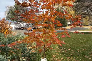 2200 Gardenette Dr S, White Bear Lake, MN 55110 - Photo 39