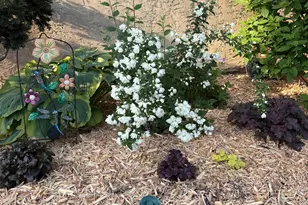 2200 Gardenette Dr S, White Bear Lake, MN 55110 - Photo 33