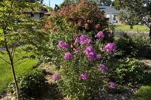 2200 Gardenette Dr S, White Bear Lake, MN 55110 - Photo 37