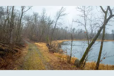 Tract C Carlson Drive, Rochert, MN 56578 - Photo 25