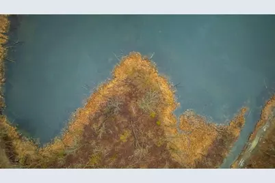 Tract C Carlson Drive, Rochert, MN 56578 - Photo 17