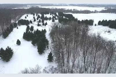 50742 County Highway 53, Perham, MN 56573 - Photo 9