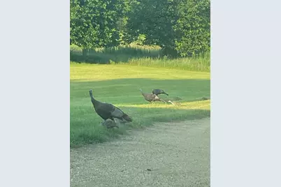 2061 10th Avenue, Alden, WI 54026 - Photo 55