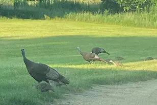 2061 10th Ave, Star Prairie, WI 54026 - Photo 55